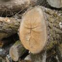 Conseils et astuces sur le bois énergie de chauffage