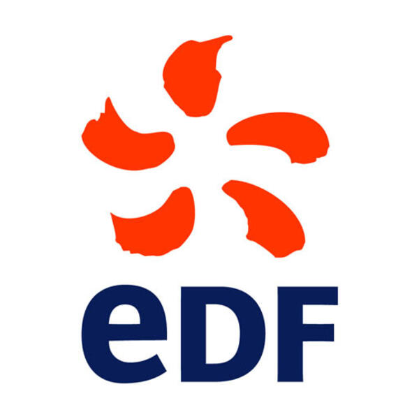 Logo EDF actuel