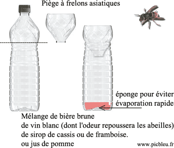 piege-a-frelon-asiatique-bouteille-plast