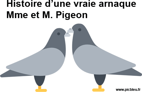 L'histoire vraie de madame et monsieur Pigeon