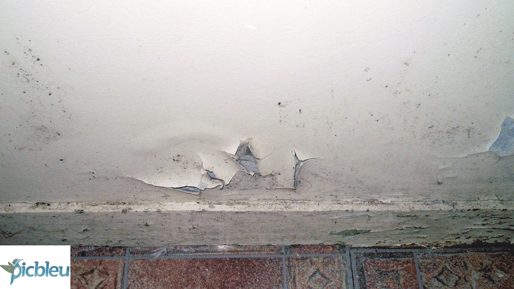 mur-dégradé-par-humidité-mauvaise-aération-logement