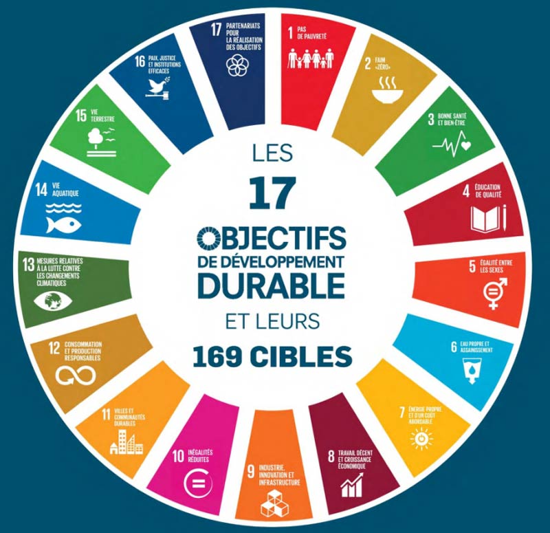 17-objectifs-ODD-developpement-durable-169-cibles.jpg