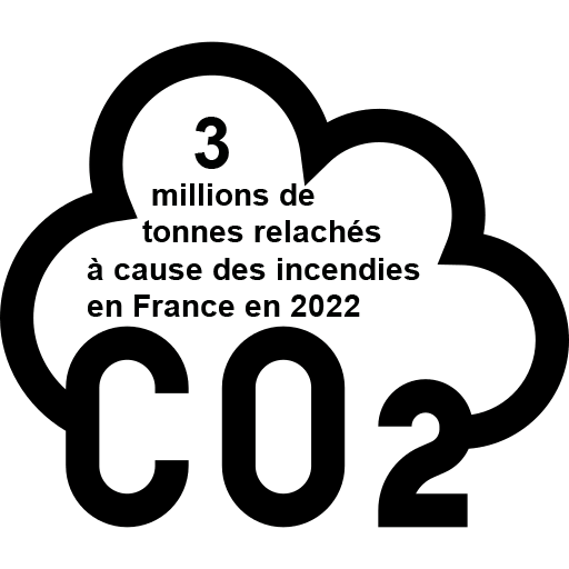 3-millions-de-tonnes-co-2-incendie-france-2022