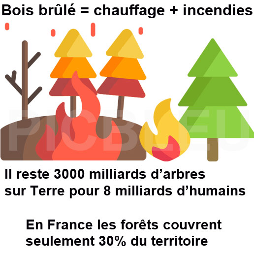 3000-milliards-arbres-sur-planète