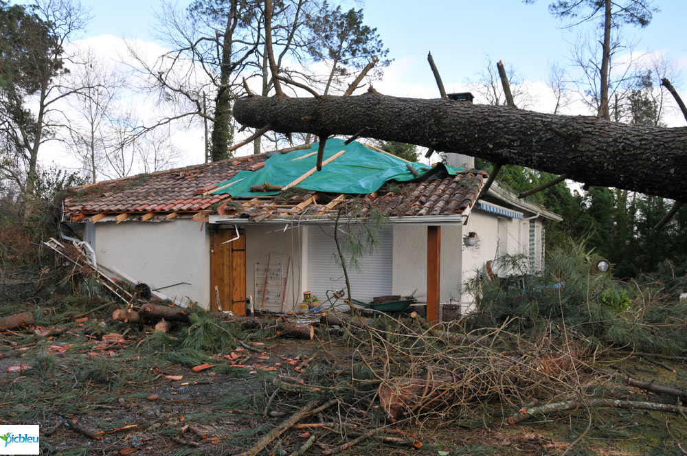 aléas-climatique-tempête-arbre-sur-maison-janvier-2009-Landes