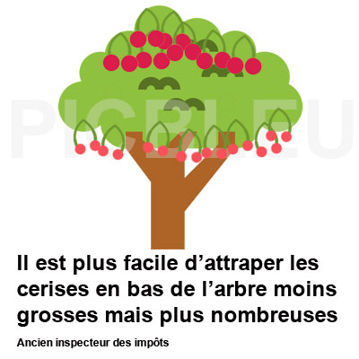 arbre-cerisier-cerises-faciles-a-attraper-en-bas-impots