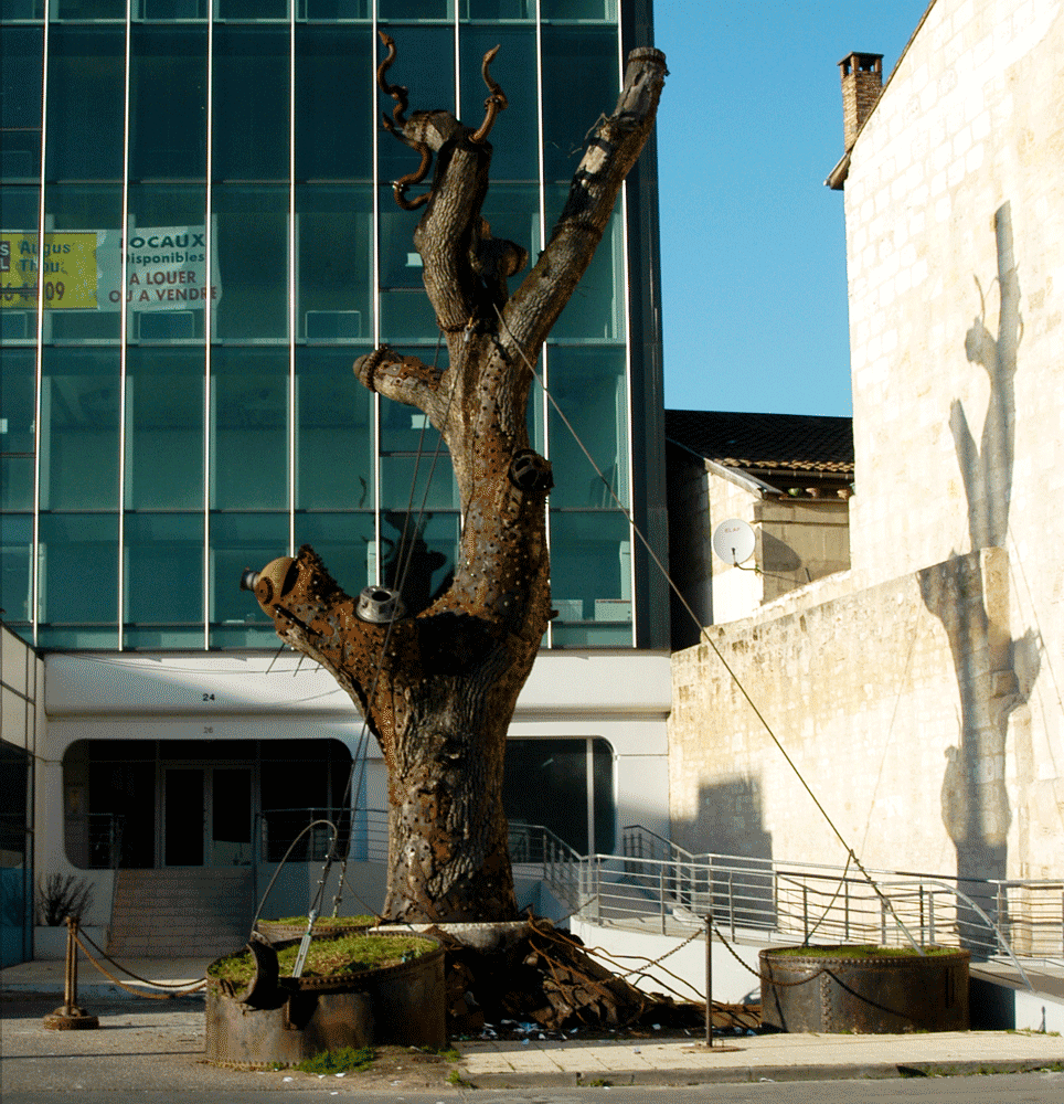 arbre-étrangement-torturé-Bordeaux