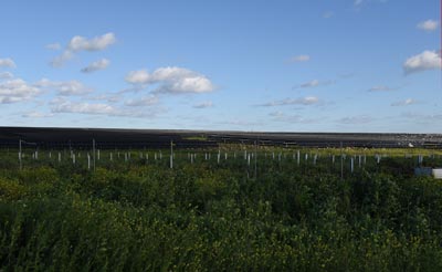 champ-agricole-occupe-panneaux-photovoltaiques.jpg