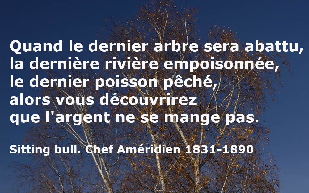citation-sitting-bull-sur-argent-ne-se-mange-pas.jpg