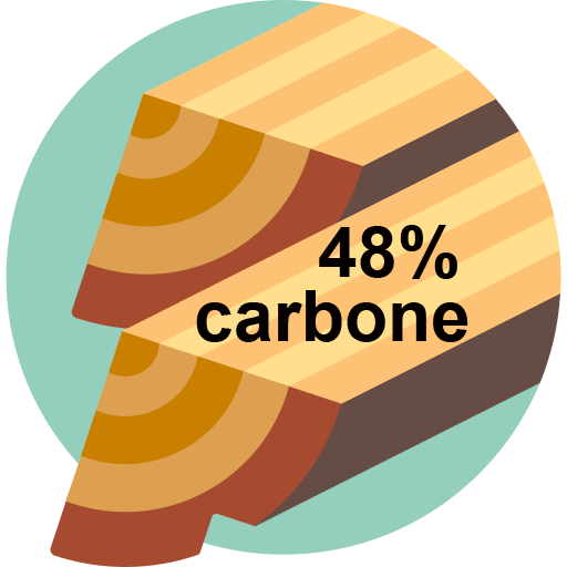 Composition bois carbone 50%