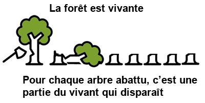coupe-rase-forêt-disparition-biotope.png