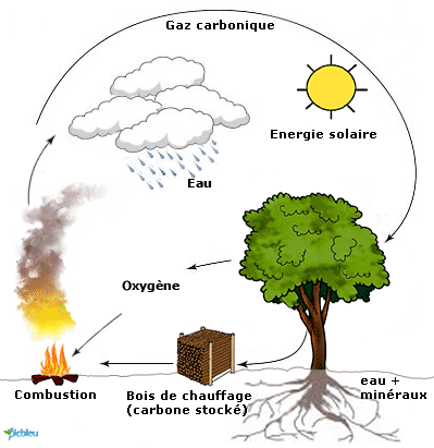 photosynthèse-combustion-du-bois-chauffage-stockage-du-co2-charpente