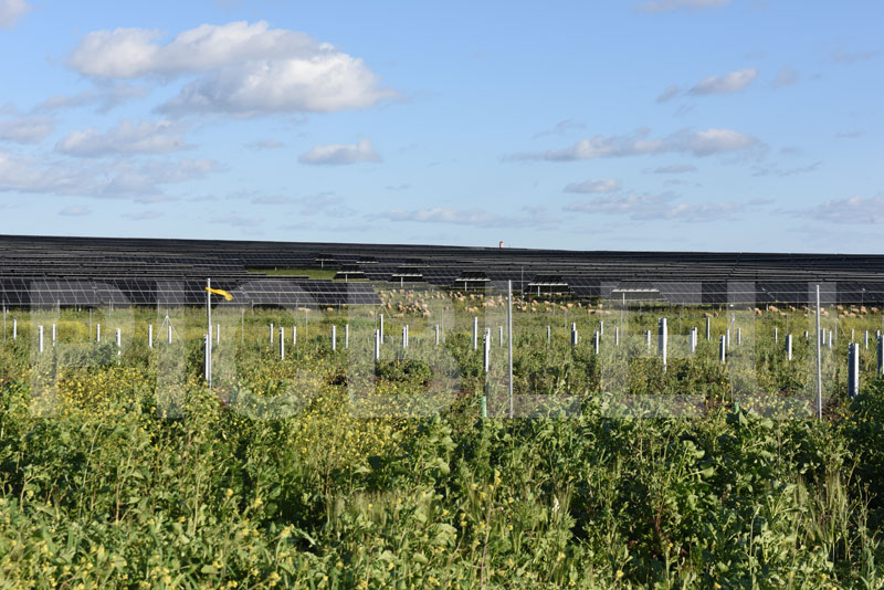 installation-panneaux-photovoltaiques-solaires-sur-hectares-terres-agricoles