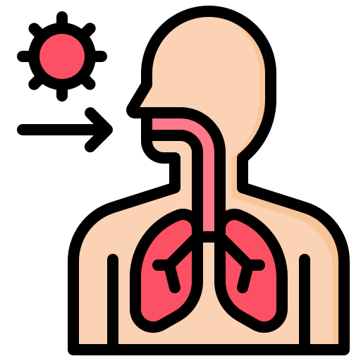 mécanisme de respiration humain