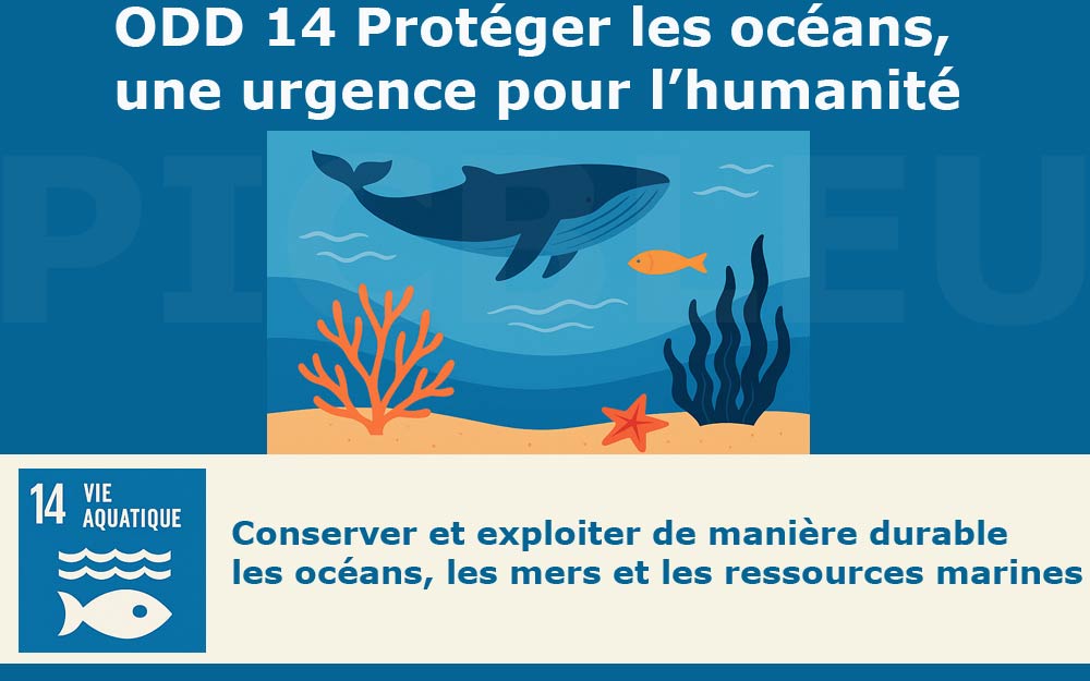 ODD-14-Objectif-Developpement-Durable-14.jpg