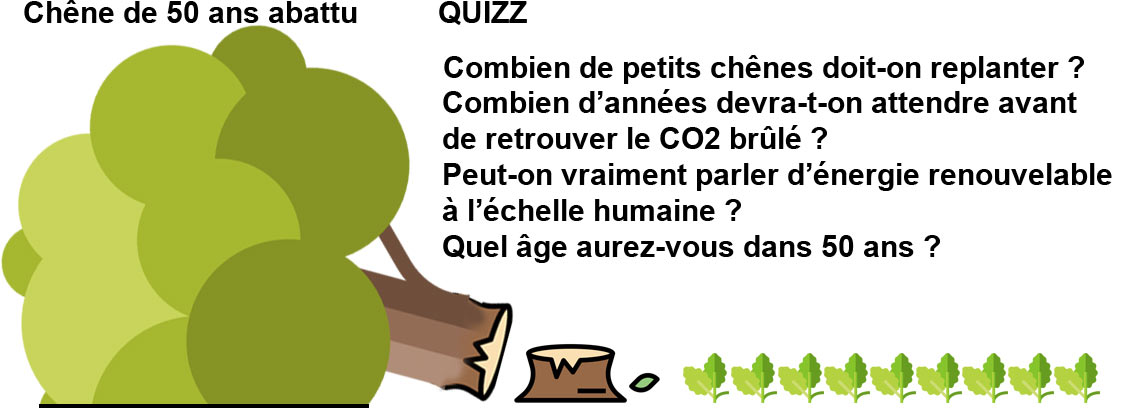 quizz-bois-energie-renouvelable-discutable