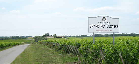 Vignobles-Bordelais-Château-grand-cru-classé.jpg