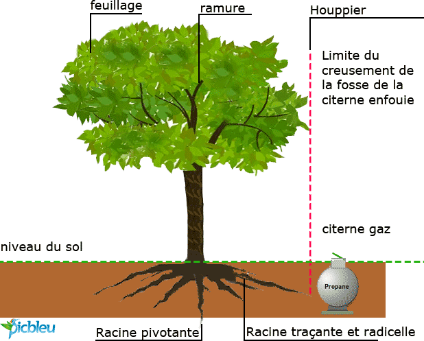 limite-creusement-fosse-citerne-gaz-GPL-par-rapport-à-un-arbre